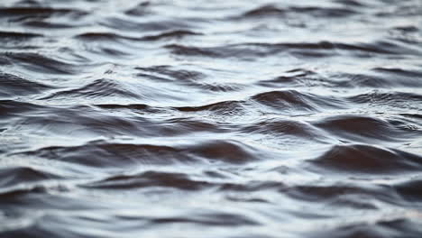 Slow-Motion-of-Dramatic-dark-water-surface-in-a-Dutch-canal-moving-because-of-strong-wind