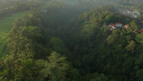 Tropical-green-jungle-valley-in-Bali-with-light-mist,-aerial