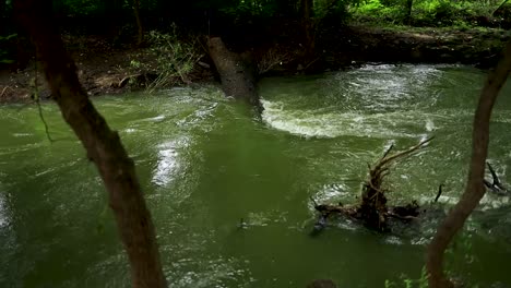 Eine-Aufnahme-Eines-Schnell-Fließenden-Nebenflusses,-Der-Als-Olifantspruit-Bekannt-Ist,-Der-Wasserstand-Ist-Hoch-Von-Den-Jüngsten-Starken-Regenfällen,-Die-Trümmer-Und-Laub-Stromabwärts-Schieben,-Limpopo,-Südafrika