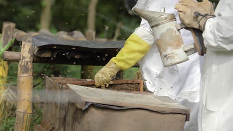 Beekeeper-opens-box-of-bees-in-order-to-inspect-the-hive---Slow-Motion