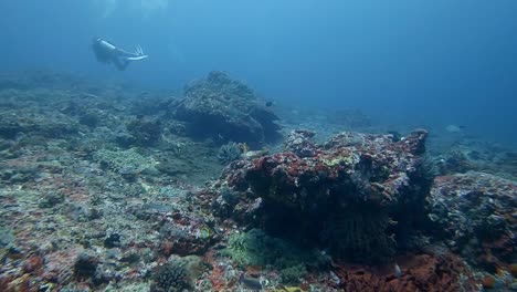 Tauchermädchen,-Das-In-Starker-Strömung-über-Ein-Gesundes-Korallenriff-Schwebt