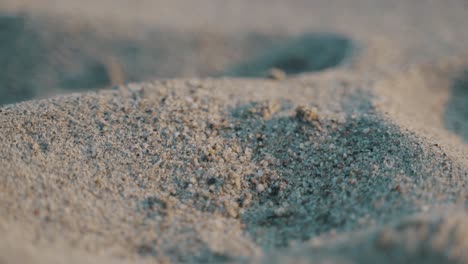 Macro-close-up-of-Sand-from-the-beach