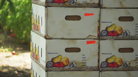 Granjero-Apilando-Cajas-De-Cartón-Con-Frutas-Dentro
