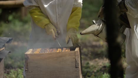 Beekeepers-blow-smoke-into-beehive-in-order-to-start-inspecting-it---Slow-Motion