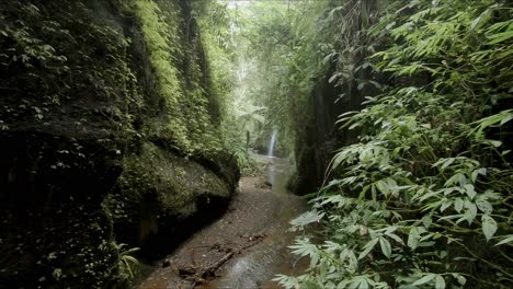 Eine-Enge-Schlucht-Mit-Einem-Wasserfall-Und-üppigem-Grün,-Das-An-Den-Felswänden-Wächst