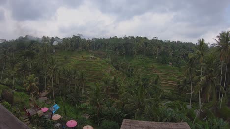 Zeitraffer-über-Berühmte-Und-Beliebte-Reisterrassen-In-Bali