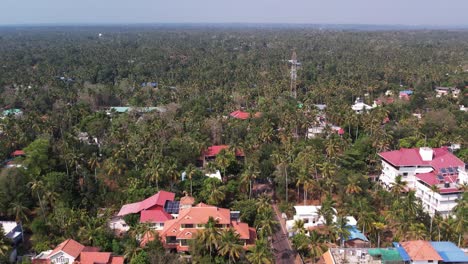 Varkala-Aerial-Shot-Of-Forest-And-Buildings