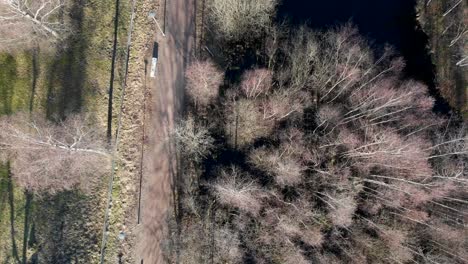 Top-down-aerial-view-of-forest-during-winter-with-no-snow-in-Europe---bare-trees-during-winter-drone-establishing-shot-of-park-walking-path-on-cold-winter-evening-passing-by-water-creek-pond-in-park