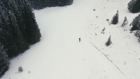 Drone-Aerial-View-Of-Man-Splitboarding-Alone-Through-Snowy-Rocky-Mountains-Alpine-Forest-Opening-With-Light-Snowfall
