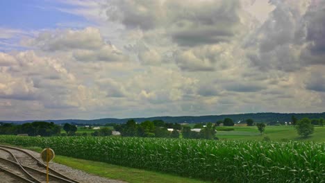 Ein-Blick-über-Fruchtbares-Ackerland-Und-Maisfelder-An-Einem-Sommertag