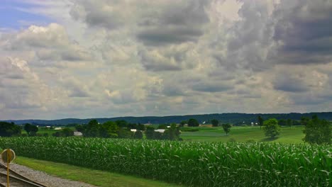 A-Look-Over-Fertile-Farmlands-and-Corn-Fields-on-a-Summer-Day