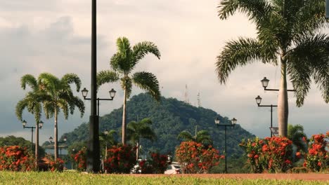 View-of-Panama-City's-Ancon-Hill-through-palm-trees-and-colorful-park-garden-bushes-located-at-the-Causeway-of-Amador's-promenade-during-a-hot-summer-day-in-the-tropical-Caribbean