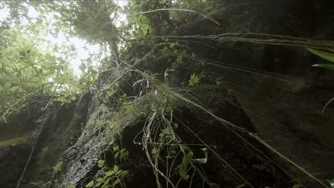 looking-up-from-a-canyon-floor-through-water-dripping-and-roots-growing-down