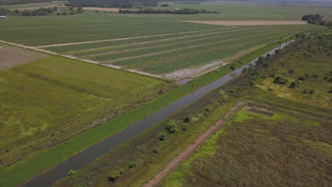 Aerial:-Drone-flying-down-towards-an-irrigation-river-amongst-tropical-farmland-and-sugar-cane-fields