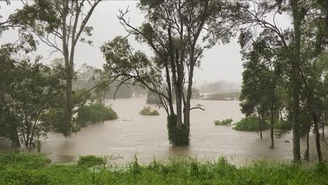 Queensland,-NSW,-Australien,-Überschwemmungen-Im-Februar---überschwemmtes-Buschland-In-Den-Vororten-Von-Brisbane,-Mit-Blick-Auf-Eine-überschwemmte-Überschwemmungsebene,-Während-Weiterhin-Starker-Regen-Fällt