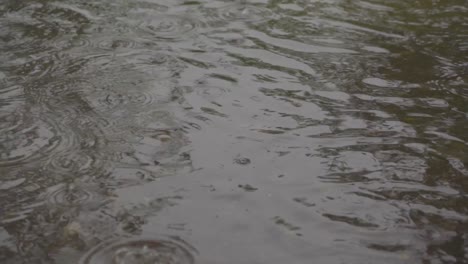 Regentropfen-In-Schlammigem-Wasser-Während-Der-Regenzeit