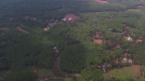 A-forest-route-in-Kollam,-Kerala