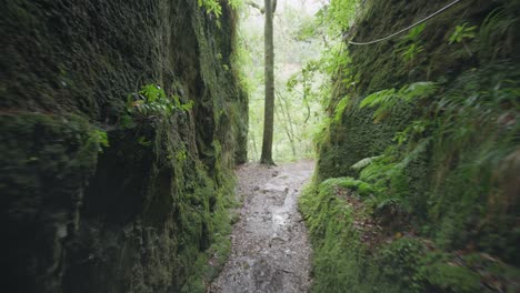 Female-Hiker-walking-through-wet-moss-covered-canyon-on-Madeira-island