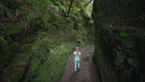 Lush-green-moss-rock-canyon-with-athletic-woman-walking-through,-touching-wall,-jib-shot