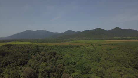 Aerial:-Drone-flying-over-tropical-forest-towards-mountains-on-the-horizon,-in-Far-North-Queensland,-Australia