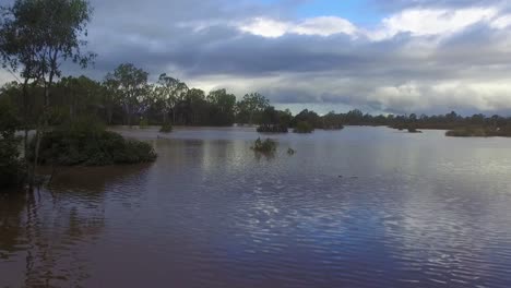 Queensland,-Nsw,-Australien,-Februar-überschwemmungen---Luftdrohne-Schoss-Tief-Unter-ästen-Vorbei,-über-Die-Flutwasser-Eines-überschwemmten-Streifens-Des-Australischen-Buschlandes