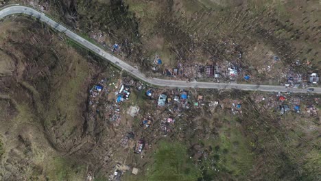 Umgestürzte-Kokospalmen-Entlang-Der-Straße-Im-Bergdorf-Nach-Dem-Taifun-Odette-In-Southern-Leyte,-Philippinen