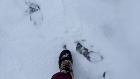 Person-In-Stiefeln,-Die-Im-Winter-Auf-Der-Schneebedeckten-Straße-Spazieren-Geht