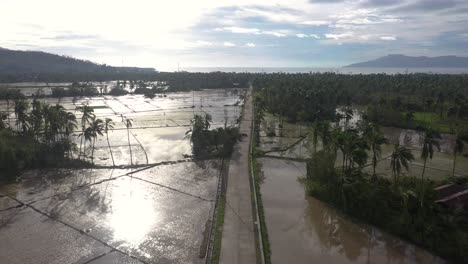 Luftaufnahme-Von-Reisfeldern-Mit-Zerstörten-Straßenlaternen-Nach-Dem-Einschlag-Des-Taifuns-In-Southern-Leyte,-Philippinen