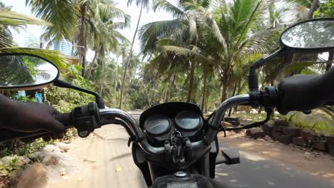 Radtour-In-Malvan-Grüne-Bäume-Südindien-Schöne-Straße