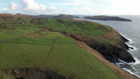 Aerial-view-of-amazing-green-coastal-fields-in-south-of-Ireland,-meadows-and-animals-above-steep-cliffs-and-Atlantic-ocean,-drone-shot