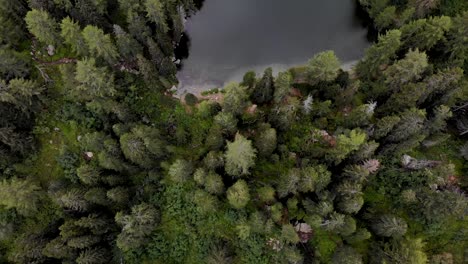 Aerial-flyover-over-Lagh-da-Bitabergh-in-Maloja,-Switzerland-with-pan-up-from-the-trees-up-to-the-lake