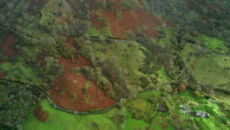 Drone-Volando-Sobre-Un-Paisaje-Verde-Cerca-Del-Lago-Llyn-Gwynant-En-Gales,-Reino-Unido