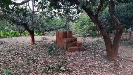 Zoom-in-shot-of-pile-of-bricks-placed-between-trees