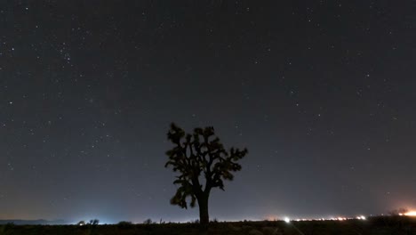 Eine-Magische-Sternennacht-In-Der-Mojave-Wüste-Mit-Einem-Joshua-Tree-Im-Vordergrund-Und-Der-Milchstraße-Und-Sternschnuppen-Im-Hintergrund---Zeitraffer