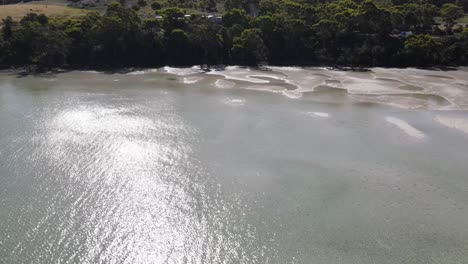 Drohne-Aus-Der-Luft-über-Klarem-Wasser-Und-Sandstrand-In-Tasmanien