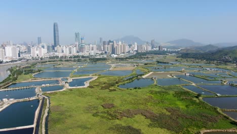 Shenzhen-Skyline-Festland-China-Von-Hongkong-Lok-Ma-Chau-Dorfgebiet-Aus-Gesehen