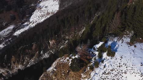 Left-right-drone-shot-over-a-mountain-cliff-with-pine-trees-and-snow