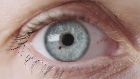 Extreme-Makro-Detail-Nahaufnahme-Eines-Einzelnen-Hübschen-Blauen-Auges,-Weicher-Fokus,-Handgehalten