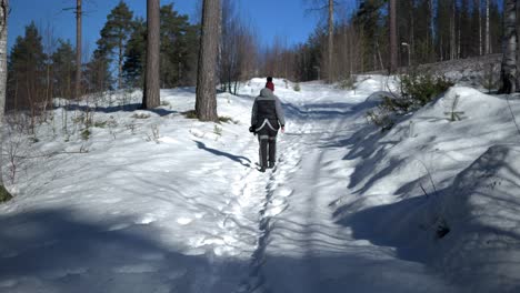 Nordische-Person,-Die-Durch-Schneebedeckten-Waldweg-Geht,-Breit