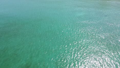 Drone-aerial-pan-down-and-then-back-up-over-tropical-blue-water-on-sandy-beach-coastline