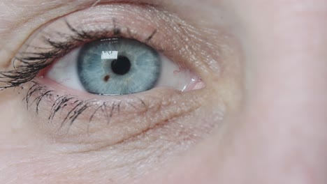 Nahaufnahme-Des-Rechten-Blauen-Auges-Mit-Wimpern
