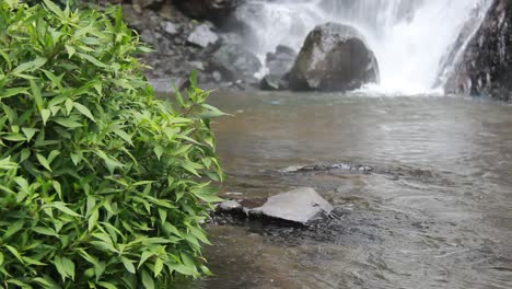Das-Schnell-Fließende-Flusswasser-Durch-Die-Felsen-Und-Wilden-Pflanzen