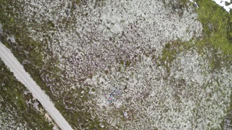 Spinning-aerial-drone-footage-spiralling-upwards-above-a-group-of-hikers-eating-lunch-amongst-a-patchy-landscape-of-green-lichen,-moss-and-heather-next-to-a-mountain-path-near-Braemar,-Scotland
