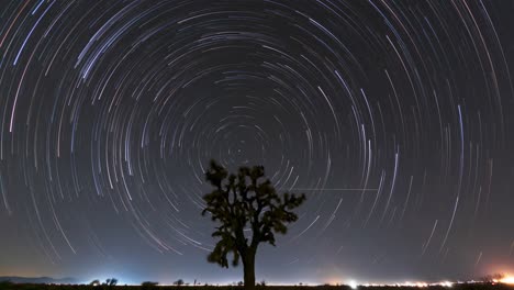 Sterne-Machen-Kreisförmige-Lichtspuren-Am-Nachthimmel-Der-Mojave-Wüste-Mit-Der-Silhouette-Eines-Joshua-Baums-Im-Vordergrund---Langzeitbelichtungszeitraffer
