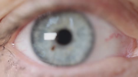 Macro-Close-Up-Of-Right-Blue-Eye-With-Eyelashes
