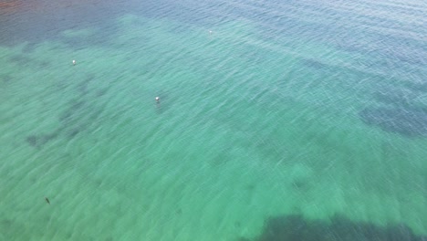 Drone-aerial-over-tropical-blue-beach-on-a-summer-day-in-Tasmania