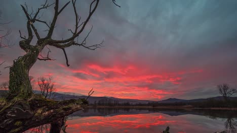 Timelapse-of-a-red-sunset-reflected-on-the-lake-with-a-dead-tree-in-the-foreground-and-surrounded-by-Karkonosze-Mountains-in-Poland