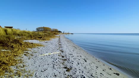 Calm-waters-ripple-from-the-clear-blue-sea-on-a-small-sandy-beach-with-countless-footprints-next-to-tall-vegetation-on-a-sunny-autumn-day-in-Kaznica-Poland