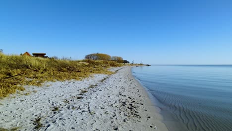 Pov-forward-shot-along-coastline-of-Hel-in-Poland-during-beautiful-weather-with-clear-blue-sky---Tranquil-Baltic-Sea-and-growing-plants-on-shoreline---Peaceful-empty-place