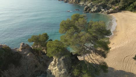 Aerial-revealing-scene-beautiful-empty-beach-in-Spain